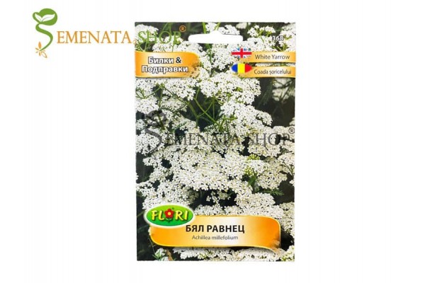 Семена за билка Бял Равнец - Achillea millefolium Семена за билка Бял Равнец - Achillea millefolium